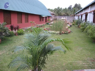 2009-View-of-Construction-Activities
