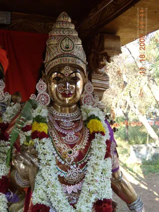Close-up photograph of a gilded metal deity murti standing outdoors beneath a wooden canopy on a procession vehicle. The murti wears a tall jewelled crown set with red, green and white stones, a large nose ring, layered gold necklaces and matching jewelled earrings. It is draped in white jasmine garlands with yellow and red flower strands, and a green leaf is tucked at one side. Behind it are a red cloth, carved wood and trees with dry branches. A procession vehicle is implied by the canopy setting.