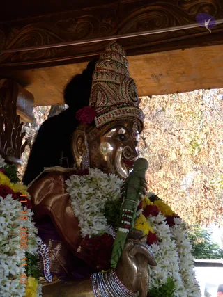 A close side view of a golden metal deity murti seated under a carved wooden canopy on a procession vehicle. The figure wears a tall, ornate crown studded with red, green and white stones, a red flower behind the crown, and a rust-gold brocade garment. White jasmine garlands and yellow and red flower garlands drape the shoulders, and the murti holds a green leaf-wrapped stick at its mouth with jewelled bangles on the wrist. Trees and dry foliage appear in the background. No living people are visible.