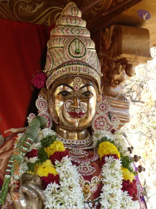 A golden metal deity murti, a female form with a tall jewelled crown set with red, green and white stones, is decorated with jasmine and marigold garlands and a red rose in the hair. It wears pink-and-gold stone earrings, a nose ring, a necklace with green and red stones, and a maroon embroidered garment. Behind it are carved wooden panels and a red cloth backdrop. No people are visible.