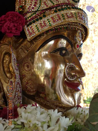 Close-up profile photograph of a gilded metal deity murti face adorned with a jeweled crown set with green and pink stones and white diamond-like studs. The face has dark kohl-lined eyes, a red lip, and a large jeweled nose ring with a dangling pendant. A pink rose sits at the left side of the crown, and a bed of white jasmine flowers lies below the chin. Long jeweled earrings hang from the ear, and sunlit foliage blurs in the background. No people are visible.