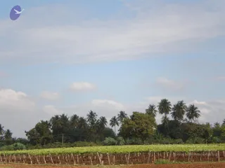 2009-glimpses-of-kodikkan-ratha-pada-yatra