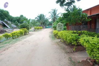 2010-10-Aug-08