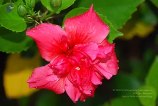 August 04 2010