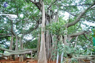 August 04 2010