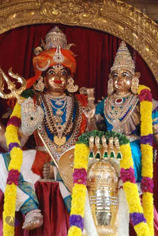 20100830_Photo_1006_DSC_1848_CMP_WM