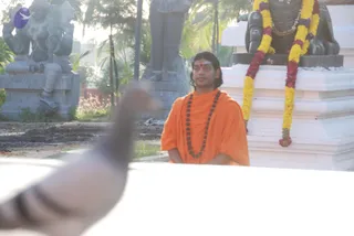 DSC_1331_CMP_WM