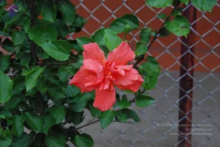 20100826_Photo_1006_DSC_8599_CMP_WM