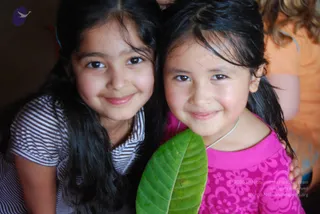 December 08 2010