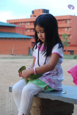 DSC_0382_CMP_WM