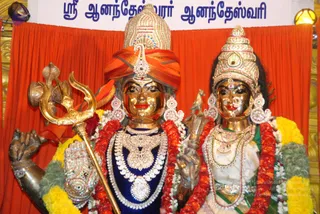 DSC_0441_CMP_WM