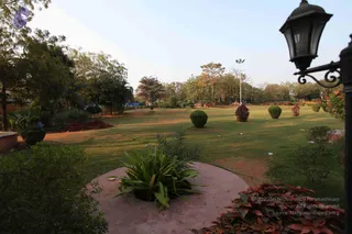 February 04 2010