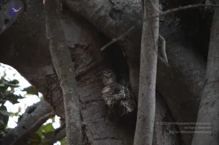 IMG_9654_CMP_WM