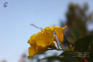 IMG_9425_CMP_WM