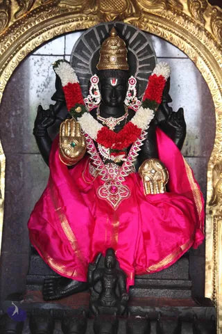 IMG_9502_CMP_WM