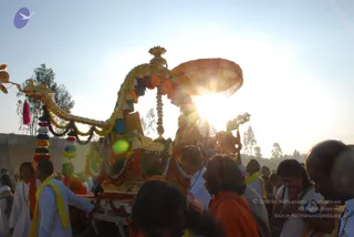 Outdoor evening procession in backlit sunlight. A large ornate golden chariot with a carved serpent-headed prow, draped with multicoloured tassels, yellow and white garlands, and an orange canopy, is pulled along a dusty road. Several people walk alongside in white kurtas with yellow or orange shawls and rudraksha malas, while others in orange robes and white clothing follow closely. Sunlight flares behind the chariot, and a figure seated on the chariot is largely silhouetted and not clearly identifiable.