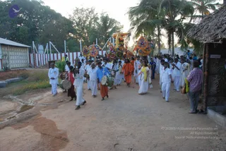 A festival procession moves along a dirt path lined with palm trees and a low white-and-red boundary wall. Drummers in white clothes beat large barrel drums, and a row of devotees in white dhotis and saris walks behind a decorated chariot topped with colourful umbrella-like canopies. A man in an orange robe walks near the centre of the group, and a woman in a white sari with a yellow shawl walks alongside. A thatched hut stands at the right edge, and a man in a checked shirt watches from the roadside.