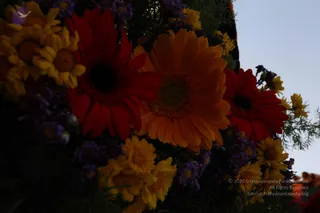 February 12 2010