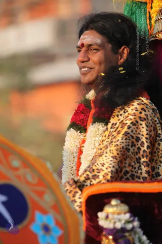 A smiling man with long, swept-back dark hair and a white-and-red forehead mark sits on an ornate throne-like seat in a procession. He wears a leopard-print shawl over orange clothing and is adorned with white jasmine garlands and red flower garlands. Yellow petals drift around him, and a gold-topped ornament with white flowers and purple fabric appears in the foreground. A decorated orange and blue panel with floral motifs sits at the left edge. Swamiji (probable) is present in this procession, identified by long swept-back hair, an orange garment, ceremonial garlands and a shawl.