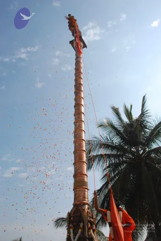 February 12 2010