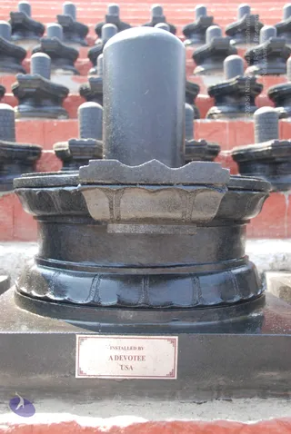 A large black polished stone Shiva lingam stands on a lotus-petal yoni pedestal on a dark square base in the foreground. Behind it rows of smaller black lingams on tiered red brick platforms recede into the background. A small white placard with red border is set on the base. No people are visible.