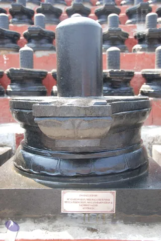 February 12 2010