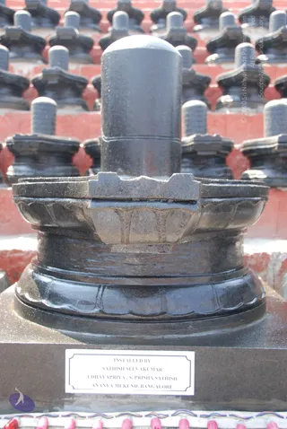 A photograph of a single black stone Shiva lingam resting on a carved yoni-style base with lotus-petal moulding, set on a dark granite plinth in front of rows of identical smaller lingams on red-painted steps. A small white placard on the plinth bears printed installer names. Pink and white flower garlands or offerings sit at the bottom edge. No people are visible.