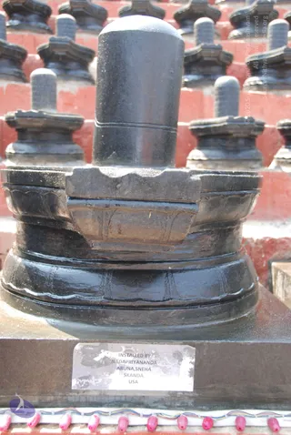 A photograph of a single black stone Shiva lingam standing on a layered black yoni-peetha base, set on a dark rectangular platform. Behind it rows of smaller black lingams on pedestals stand against a red-painted brick wall in bright daylight. A small white metal plaque on the platform reads installed by Nadapriyananda, Aruna, Sneha, Skanda, USA. Along the bottom edge a strip of white cloth with pink wicks or lamps is laid out as offerings. No people are visible.