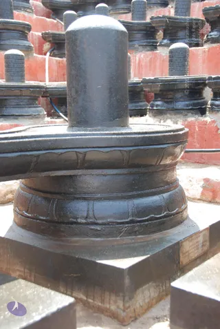 Close-up photograph of a large black stone Shiva lingam on a yoni-style base with carved lotus-petal bands, set on a square stone plinth. Behind it stand rows of smaller black lingams with brick-patterned tops against red-washed walls. A small plaque on the plinth bears an engraved inscription. No people are visible.