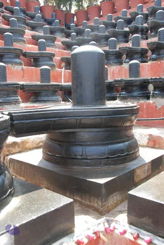 A large black stone Shiva lingam with its yoni-pitha base stands on a square grey stone plinth outdoors. Behind it, rows of smaller black lingams on tiered red-painted steps stretch upward, with potted plants along the top. Pink and white garland-like items sit at the base, and a small brass plaque is fixed to the plinth. No people are visible.