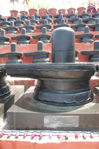 A large black stone Shiva lingam with a yoni-shaped pedestal stands in the foreground on a grey granite base, with rows of identical black lingams on red-painted tiered steps behind it and potted plants on top. A small plaque on the base reads installed by Raman, Lalitha, Jayashree, Sriram & Jayaram, Texas. Pink-capped electrical lamps line the bottom edge. No people are visible.