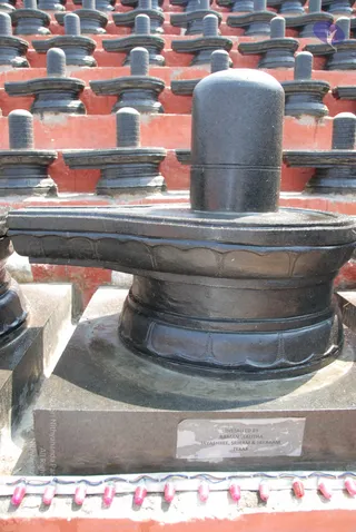 Close-up photograph of a large polished black stone Shiva lingam resting on a yoni pedestal set on a grey stone base, in front of rows of identical smaller black lingams on red-painted tiers. A small plaque on the base reads installed by Raman, Lalitha, Jayashree, Sriram and Jayaram, Texas. A strip of pink lamps lies along the bottom edge. No people are visible.