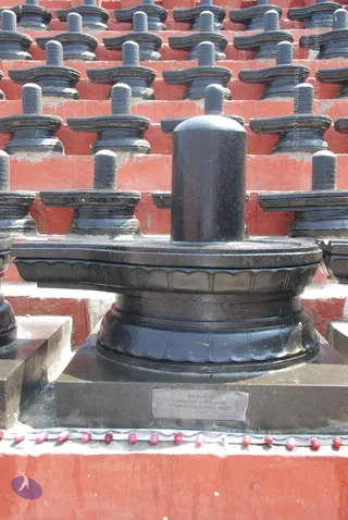 February 12 2010