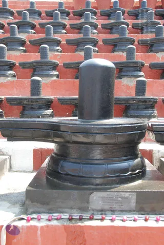 A large black stone Shiva lingam with a yoni-pitha base stands in the foreground on a dark square plinth. Behind it, rows of smaller black lingams on yoni bases are arranged on red-painted tiered steps in bright daylight. A small silver plaque on the plinth reads that it was installed by donors from Canada. A string of pink and red beads lies along the base edge. No people are visible.