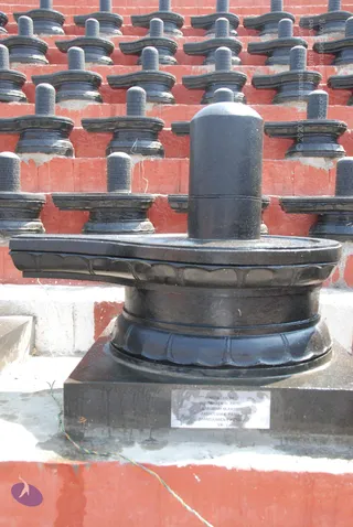 A large black stone Shiva lingam with a yoni-shaped pedestal stands in the foreground on a dark square base. Behind it, rows of smaller black lingams on matching pedestals are arranged across red-painted tiered steps. A small silver plaque on the base reads that it was installed by named donors. No people are visible.