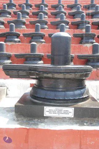 A photograph of a row of black stone Shiva lingams on tiered red-painted steps. The foreground lingam sits on a dark granite square base with a carved lotus-petal yoni pedestal. A small white plaque on the base is engraved with the installing donors' names. No people are visible; the lingams stand in rows behind the central one.