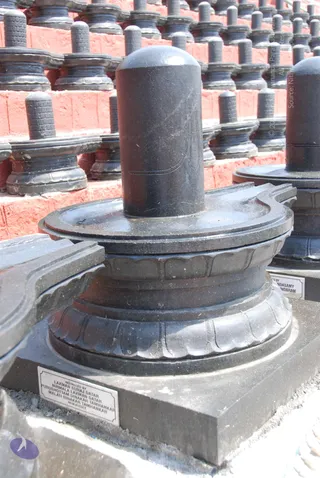 Close outdoor photograph of a row of black stone Shiva lingams on circular yoni-style pedestals set against a red brick wall. The foreground lingam has a smooth dome top, a carved vertical line and a lotus-petal patterned base, and a small engraved memorial plaque sits on the ground pad in front of it. No people are visible.