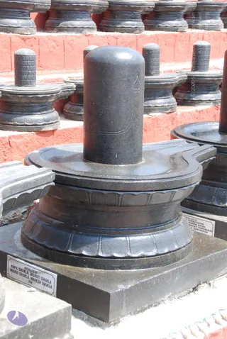 A close view of a black polished stone Shiva lingam on a round yoni-style pedestal, one of many similar lingams arranged in rows on red brick steps outdoors. The lingam has a rounded top and a faint carved line and marking on its shaft. The base has a scalloped lotus-petal moulding and a grey stone plinth in front. A small engraved plaque on the plinth reads 'Installed by Kapil Shukla, Jagruti Shukla, Minaxi Shukla, Mahesh Shukla, USA'. No people are visible.