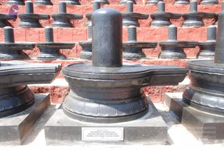 A photograph of a dark polished stone Shiva lingam set on a yoni-shaped pedestal base in an outdoor courtyard. Rows of similar black lingams on pedestals stand against a red brick wall behind it. A small rectangular metal plaque sits on the grey stone platform in front, listing donors. No people are visible.