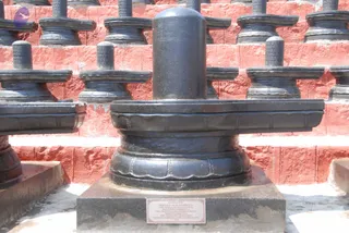 February 12 2010