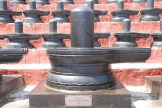 A large black stone Shiva lingam stands on a black square-based yoni pedestal in an outdoor setting. The lingam has a carved tripundra-like three-line mark on its upper shaft. Behind it, a tiered red brick wall is lined with many smaller black stone lingams set on matching round pedestals. A small rectangular brass-coloured plaque on the base reads INSTALLED BY RAGINI BAGAN & FAMILY USA. No people are visible.
