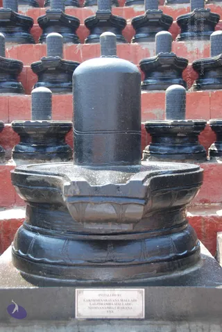 February 12 2010