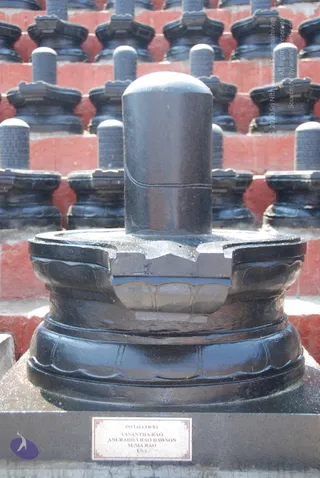 A photograph of a large black polished stone Shiva lingam set on a layered black yoni pedestal, standing in the foreground. Behind it, rows of smaller black lingams on tiered black pedestals line red-painted steps. A small plaque on the base reads installed by the donors. No people are visible.