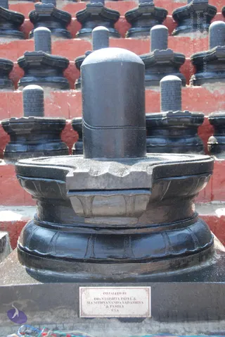 A photograph of a large black polished stone Shiva lingam set in a yoni-pitha base on a grey plinth, with rows of smaller black lingams in matching bases stacked on red-painted steps behind it. A small rectangular brass-coloured plaque on the plinth is inscribed INSTALLED BY DRs. VASISHTA PATEL & MA NITHYANANDA SADASHIVA & FAMILY USA. No people are visible in the scene; the setting appears to be an outdoor shrine of lingams.