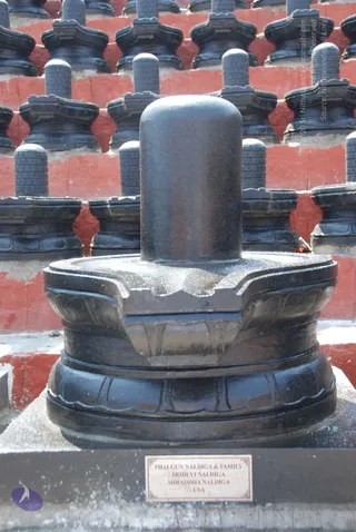 A photograph of a large black stone Shiva lingam on a layered yoni-pitha base, set on a grey stone plinth in an outdoor row of similar lingams on red-painted stepped platforms. A small brass plaque on the plinth is engraved with donor names. No people are visible.