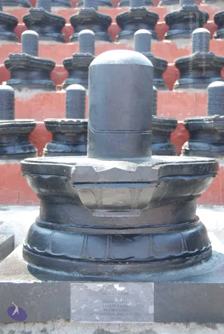 February 12 2010
