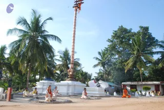 July 10 2010