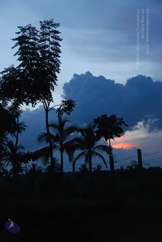 July 10 2010
