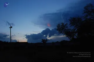 July 10 2010