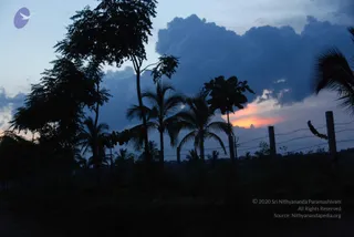 July 10 2010